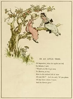Images Dated 25th November 2011: In an Apple tree