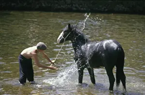 Watering Prints: Appleby Horse Fair - horse wash