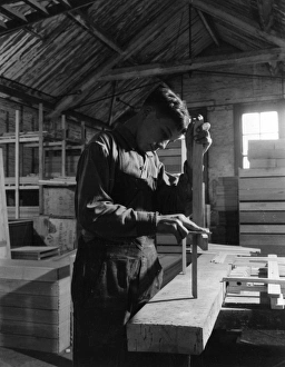 Images Dated 10th January 2012: Apprentice cabinet maker, Shoreditch, London