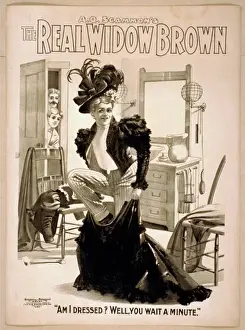 AQ Scammons The real Widow Brown
