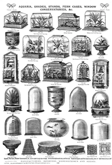 Ornament Gallery: Aquaria, shades, stands, fern cases, Plate 116