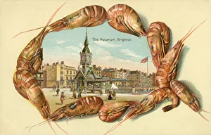 The Aquarium, Brighton, East Sussex
