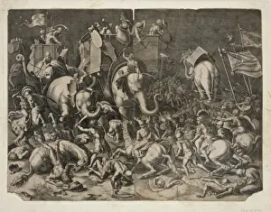 Aquila Prints: Aquila