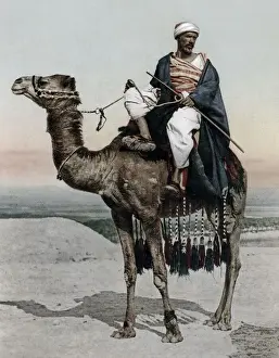 Arab man on camel, Egypt, c. 1890s Vintage late 19th century photograph