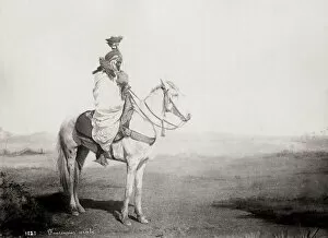 Harness Gallery: Arab man, falconer with falcon, mounted on a horse, Algeria