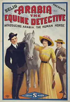 Equine Prints: Arabia the equine detective