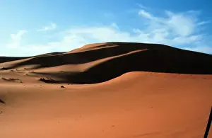 Arabian desert