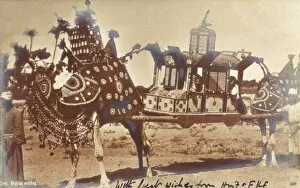 Images Dated 4th April 2011: Arabian wedding carriage transporting the bride
