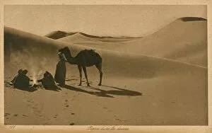 Images Dated 2nd June 2017: Arabs and camel resting in the sand dunes, Algeria