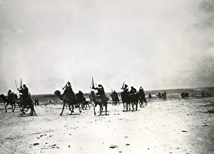 Arabs riding camels in the desert, Palestine, WW1