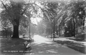 Greenery Prints: The Arboretum