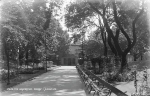 Greenery Prints: The Arboretum, Derby