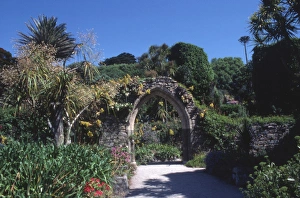 Images Dated 14th November 2016: Arch in Abbey Gardens, Tresco, Isles of Scilly