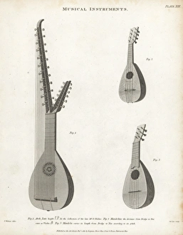 Abrahamrees Gallery: Arch lute, mandolin and mandola