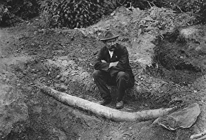 Mammoth Prints: An archaeologist sits next to the unearthed remains of a st