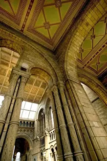 Architectural features of the Main Hall