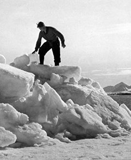 Images Dated 17th January 2012: Arctic Bear Hunter
