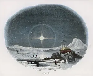 ARCTIC SCENE / WHIMPER