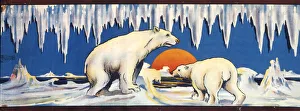 Cold Gallery: Arctic sunset with polar bears in snow and ice