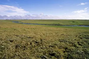 Arctic tundra, a typical landscape near Dikson