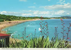 Images Dated 8th May 2019: Ardamine Strand, Courtown, County Wexford
