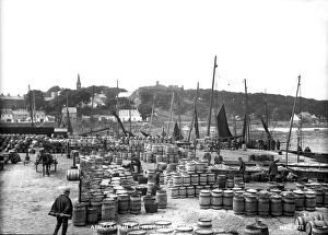 Ardglass in the Herring Season Ardglass in the Herring Season