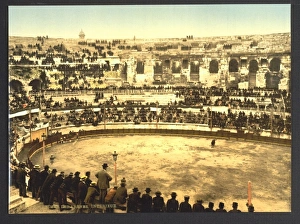 France Nimes