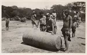 Roll Prints: Argentina - Indigenous Tribesmen roll a bottle tree trunk