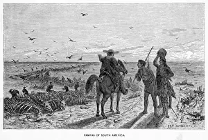 Argentina Pampas