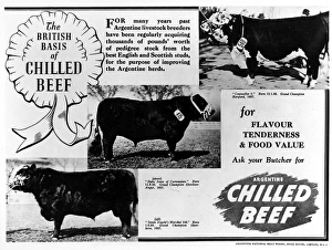Images Dated 18th April 2004: Argentine beef