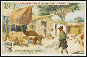 Argentine Rancho