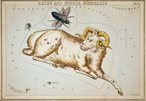 Aries Collection: Aries and Musca Borealis