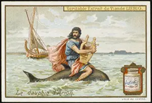 Arion and a Dolphin