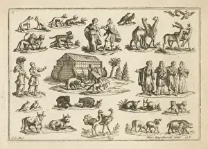 Ark and Animals