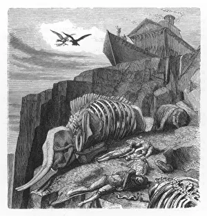 Slopes Prints: The Ark on Ararat