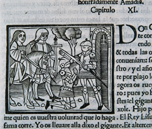 Arming Collection: Arming a Knight. Amadis de Gaula (Amadis of Gaul)