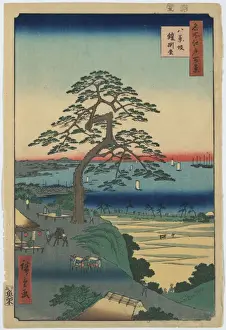 Armor-Hanging Pine, Hakkeizaka