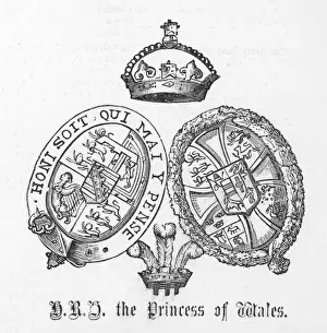 Arms of Pss of Wales