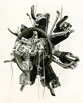 Radial Gallery: Armstrong Siddeley Lynx 7-cylinder radial engine