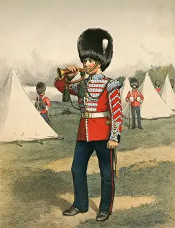 Comrades Prints: Army Bugler C19