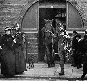 Purposes Prints: Army commandeering railway horses at Bexhill, WW1