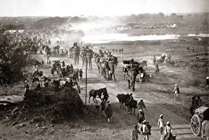 Army Train with elephants Delhi, India, 1886