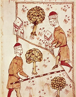 Arnaldus de Villa Nova (1240 - 1312); BOYSSET Arnaldus de Villa Nova (1240 - 1312); BOYSSET