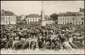 Hugo Collection: Arras Cattle Market 1905