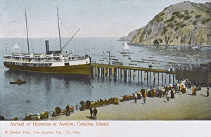 Arrival of Hermosa - Avalon, Catalina Island, California, US Arrival of Hermosa - Avalon, Catalina Island, California, US