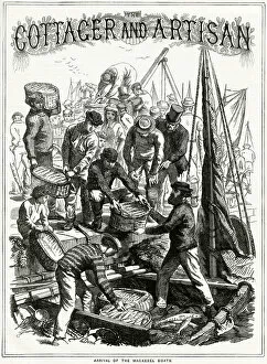 Arrival of the mackerel boats 1868