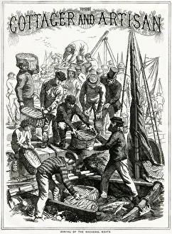 Billingsgate Prints: Arrival of the mackerel boats 1868