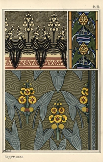 Arrowhead, Sagittaria sagittifolia, as a motif Arrowhead, Sagittaria sagittifolia, as a motif
