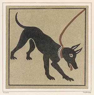 Art / Mosaic / Roman Dog