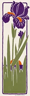 Art Nouveau Iris 1897